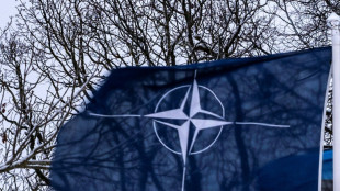 Trump: Nato-Staaten sollten Verteidigungsausgaben auf fünf Prozent erhöhen