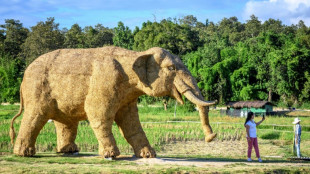 Betrunkener will 30 Kilogramm schwere Elefantenstatue aus Hotel in Mainz stehlen