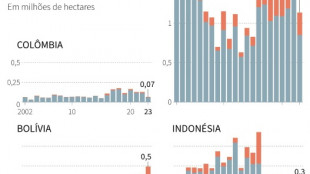 Apesar dos avan&ccedil;os no Brasil, desmatamento se mant&eacute;m 'obstinadamente' alto no mundo