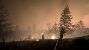 Waldbrand in Kanada: Notstand in British Columbia ausgerufen - 20.000 Menschen evakuiert
