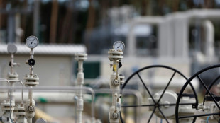 Klimastiftung Mecklenburg-Vorpommern muss Namen von beauftragten Firmen nennen