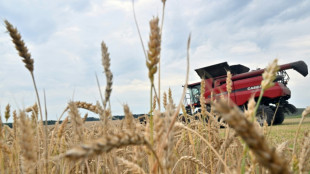 L'UE veut muscler sa logistique pour exporter les c&eacute;r&eacute;ales ukrainiennes