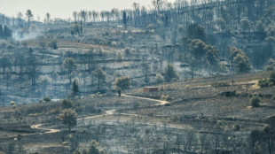 Et&eacute; 2025: des feux "hors normes" en France et en Europe 
