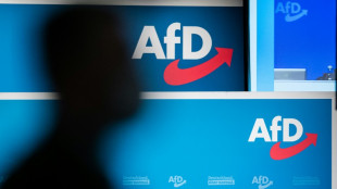 AfD-Parteitag macht Weg f&uuml;r m&ouml;gliche Einzelspitze frei