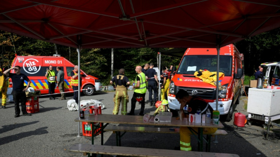 Feuer anderthalb Kilometer von deutscher Grenze entfernt - Kein &Uuml;bergreifen erwartet