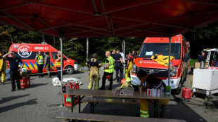 Feuer anderthalb Kilometer von deutscher Grenze entfernt - Kein &Uuml;bergreifen erwartet
