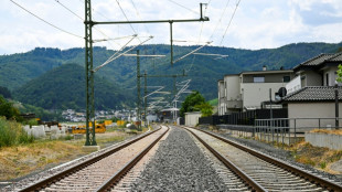 Verb&auml;nde und Unternehmen warnen vor K&uuml;rzungen von Geldern f&uuml;r Schienenverkehr