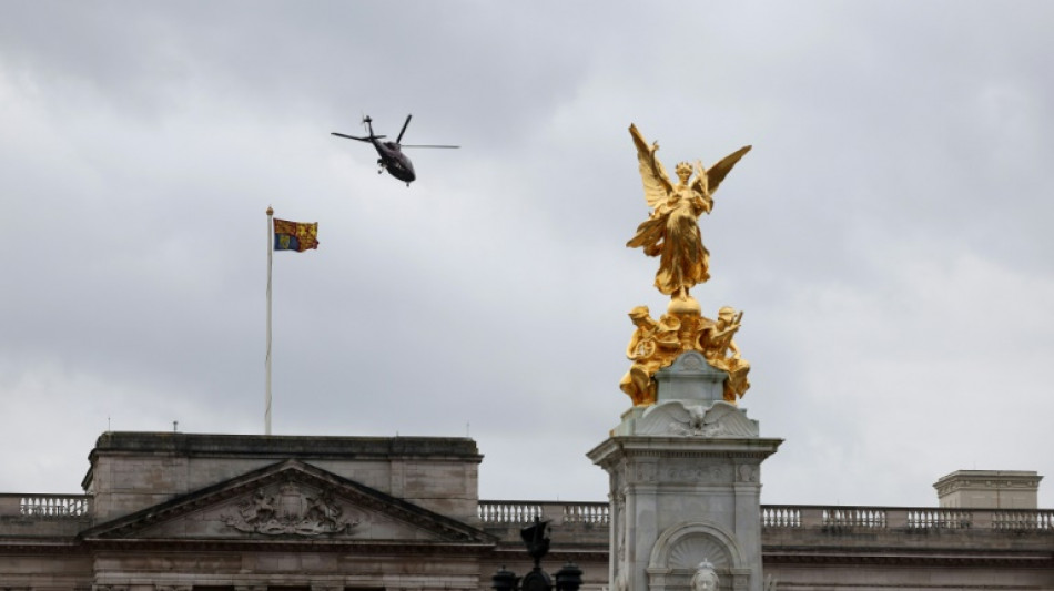Un hombre detenido tras chocar un autom&oacute;vil contra la verja de Buckingham Palace