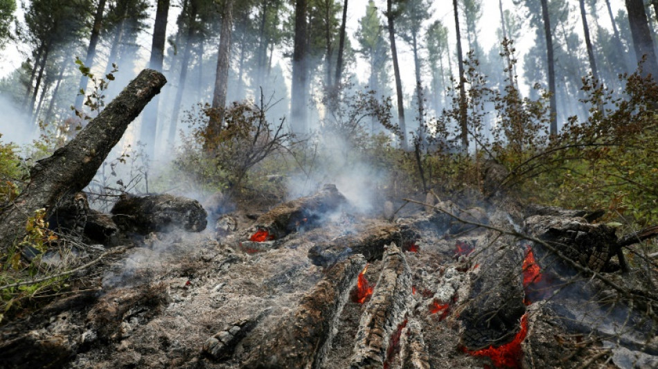 Anklage wegen Brandstiftung nach Waldbrand in Nationalpark S&auml;chsische Schweiz