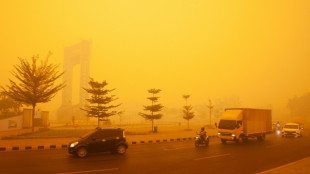 'No place to breathe': life in Indonesia's fire epicentre