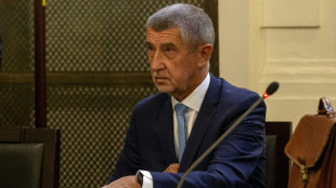 Freispruch f&uuml;r Tschechiens Ex-Regierungschef Babis in Prozess um Subventionsbetrug