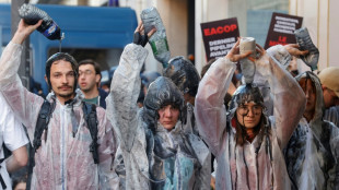 Klimaaktivisten und Regierung erh&ouml;hen Druck auf Total bei Abkehr von Fossilen