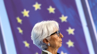 Lagarde, sull'euro acquisti-rifugio da instabilit&agrave; Usa
