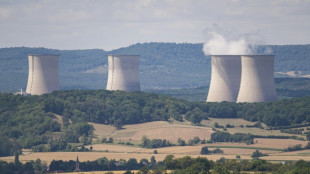 Hitze und D&uuml;rre: Neuer H&ouml;chststand bei Ausf&auml;llen in franz&ouml;sischen Akw
