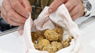 Tartufi, il Piemonte ne progetta la tutela per il futuro