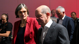 Kanzler bleibt beim Br&uuml;ckenstrompreis skeptisch