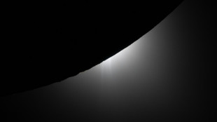 Astronautas da Artemis lan&ccedil;ar&atilde;o luz sobre riscos &agrave; sa&uacute;de no espa&ccedil;o