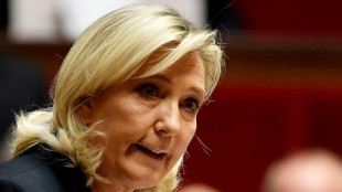 Motion de censure Nupes: malaise chez certains apr&egrave;s l'apport des voix RN
