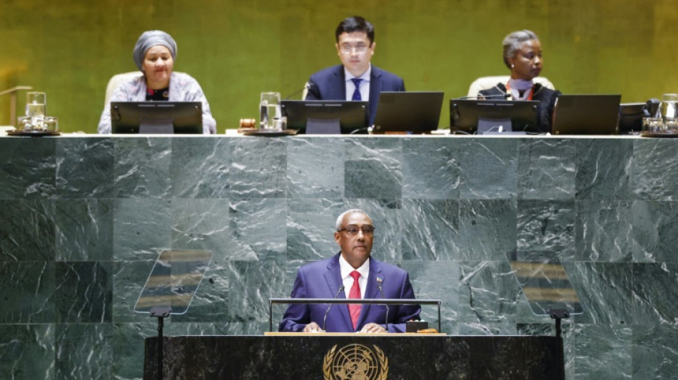 Ethiopia at UN calls for quicker progress on peace deal