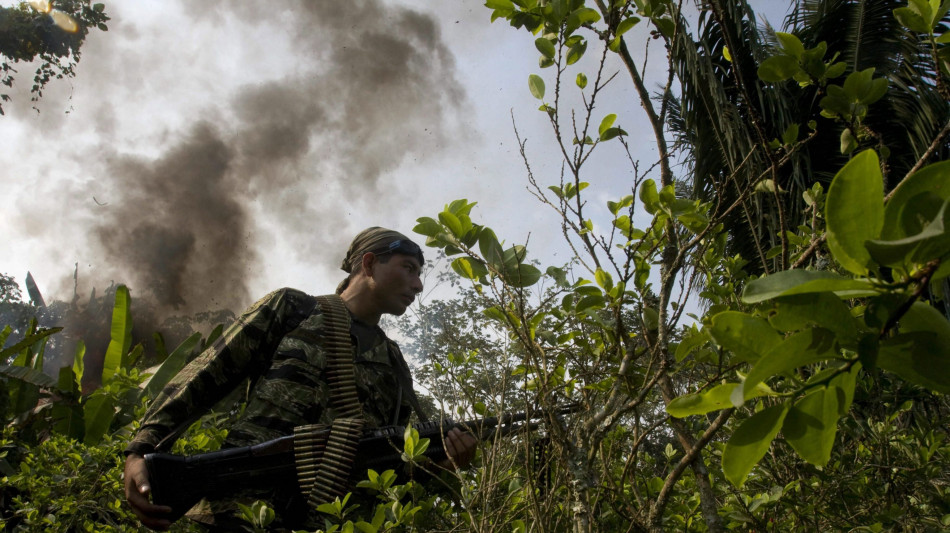 Il Per&ugrave; sradica coltivazioni di foglia di coca su 14mila ettari
