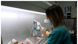 Cellule staminali mascherate per sfuggire al rischio di rigetto