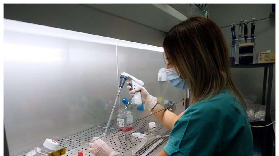 Farmaco a 2 teste trasforma lo zucchero in arma contro i tumori