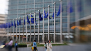 Fonti, via libera della Commissione Ue al piano Safe dell'Italia