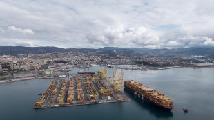 A Trieste una nave record per dimensioni, oltre mille addetti coinvolti