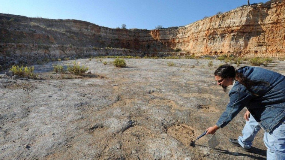 Misteriose impronte di dinosauro decodificate con l'aiuto dell'IA