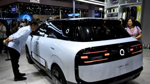 Chery quiere fabricar uno de sus modelos el&eacute;ctricos en Europa