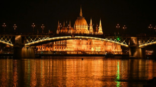 Hungarians vote in closely watched election, with Orban's rule on line