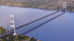 C.Conti chiede chiarimenti su delibera Cipess Ponte Stretto