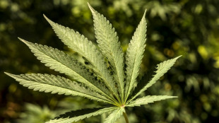 Kurzschluss an Cannabisplantage l&ouml;st in M&ouml;nchengladbach Dachstuhlbrand aus