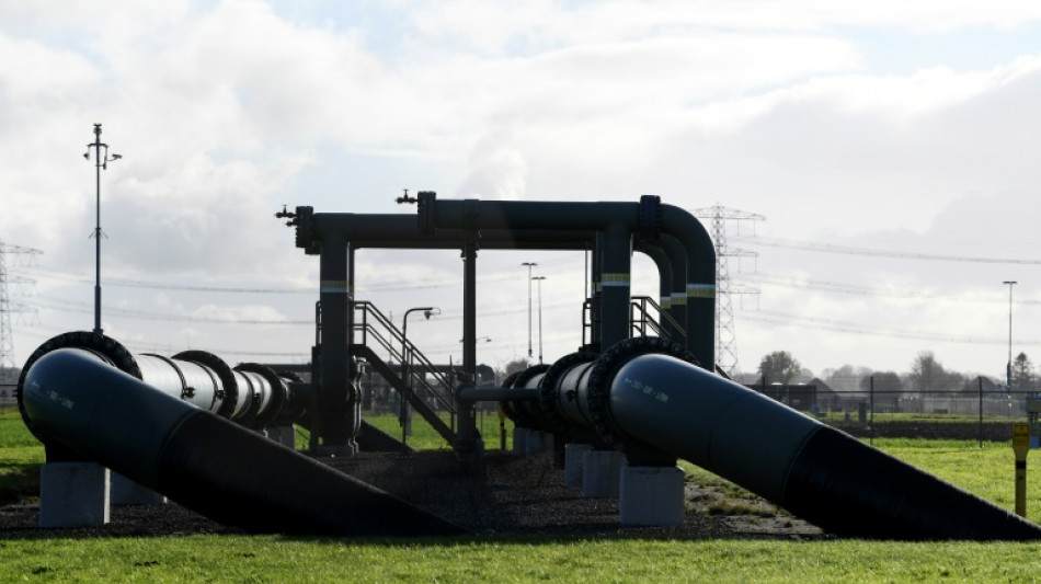 Netherlands halts extraction from Europe's biggest gas field