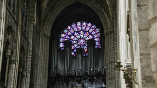 El "despertar" del &oacute;rgano, una de las etapas de la reapertura de  Notre Dame