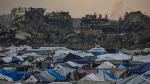 Wsj, 'Usa per una forza multinazionale di 10mila uomini a Gaza'
