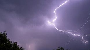 Frau f&auml;llt bei Gewitter von Motorboot in Bodensee und stirbt