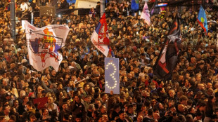 Vor Parlamentswahl in Serbien: Zehntausende Anh&auml;nger der demonstrieren in Belgrad