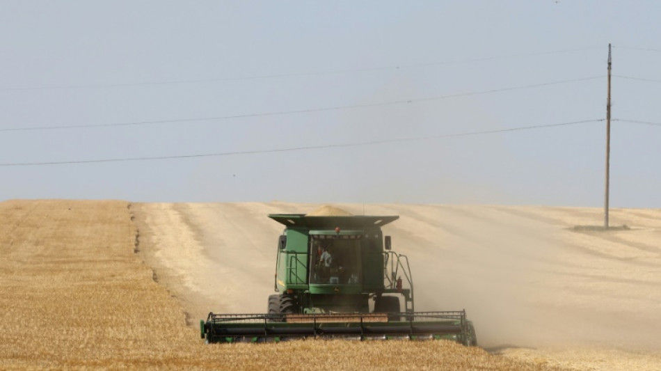 Rusia controla 22% de las tierras agr&iacute;colas de Ucrania, seg&uacute;n la NASA