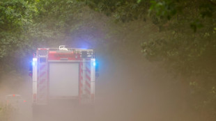 Feuerwehren bek&auml;mpfen zwei gro&szlig;e Waldbr&auml;nde in westlichem Mecklenburg-Vorpommern