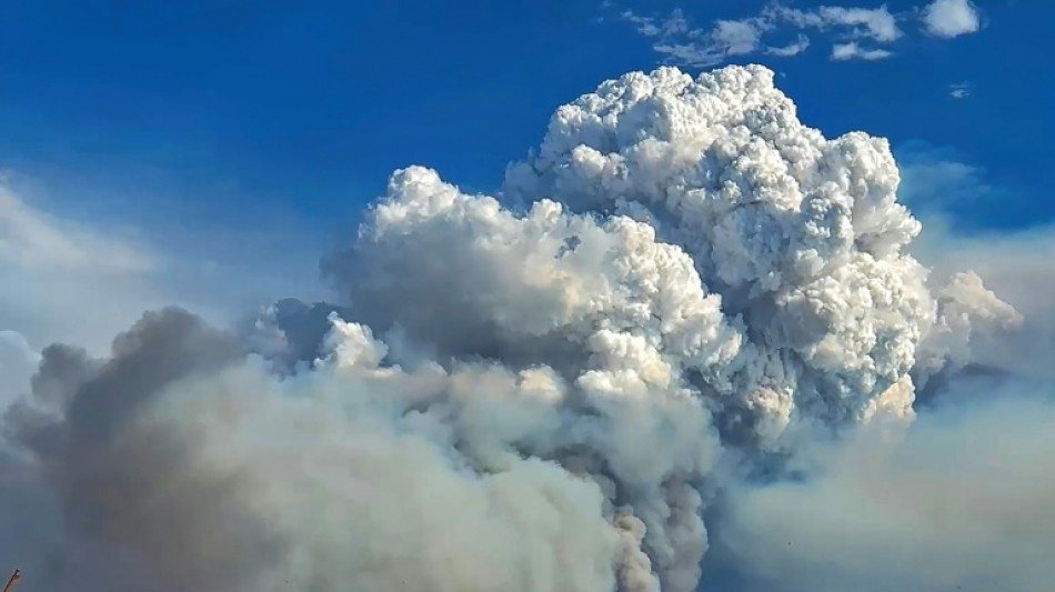 Inc&ecirc;ndios 'fora de controle' colocam fauna do Pantanal em risco