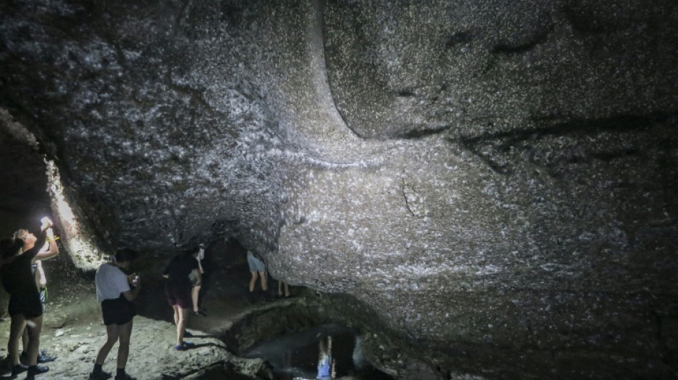Descubren una telara&ntilde;a gigante con 111.000 ara&ntilde;as en una gruta de Grecia
