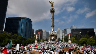C&acirc;mara dos Deputados do M&eacute;xico &eacute; bloqueada para impedir vota&ccedil;&atilde;o de reforma judicial