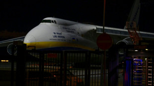 Nuevo incidente por el sobrevuelo de un dron en un aeropuerto alem&aacute;n