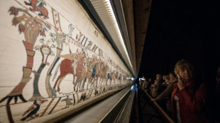 UK's Hockney warns moving Bayeux Tapestry would be 'madness'