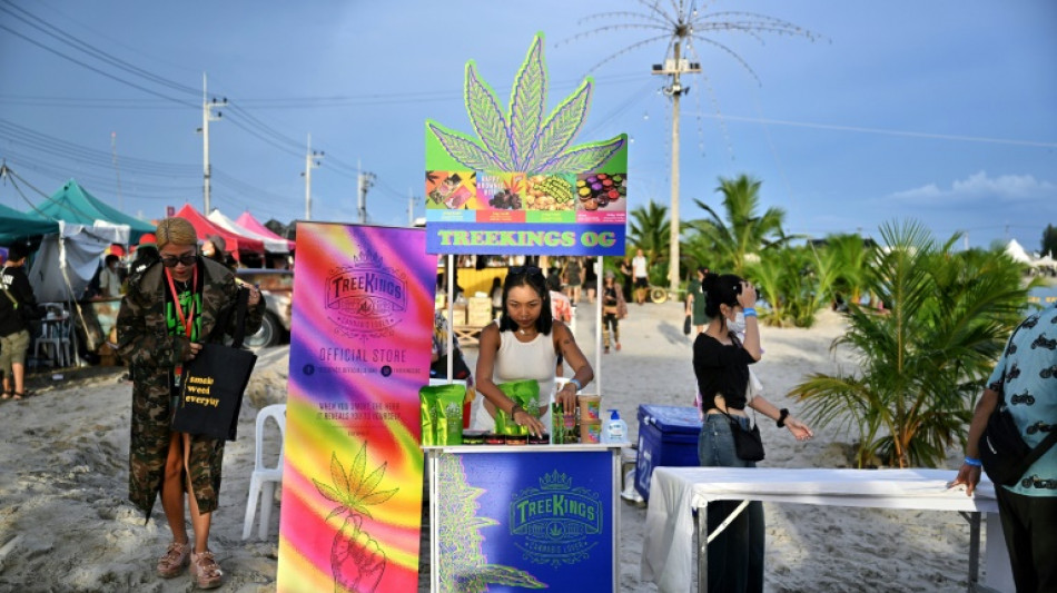 Tha&iuml;lande: les pro-cannabis c&eacute;l&egrave;brent la d&eacute;p&eacute;nalisation de la culture et de la vente