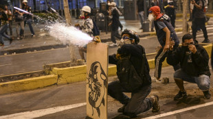P&eacute;rou : la mobilisation se poursuit avec de nombreuses routes bloqu&eacute;es