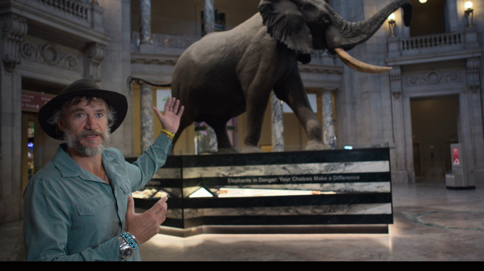 'Ghost Elephants', gli elefanti perduti di Werner Herzog su Disney+