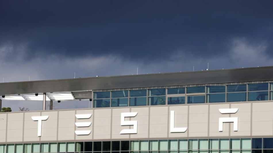 IG Metall stellt Strafanzeige gegen Tesla-Gesch&auml;ftf&uuml;hrer in Gr&uuml;nheide