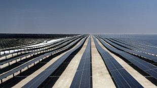 "Personne ne peut arr&ecirc;ter" le progr&egrave;s des renouvelables, insiste le patron de l'IRENA

